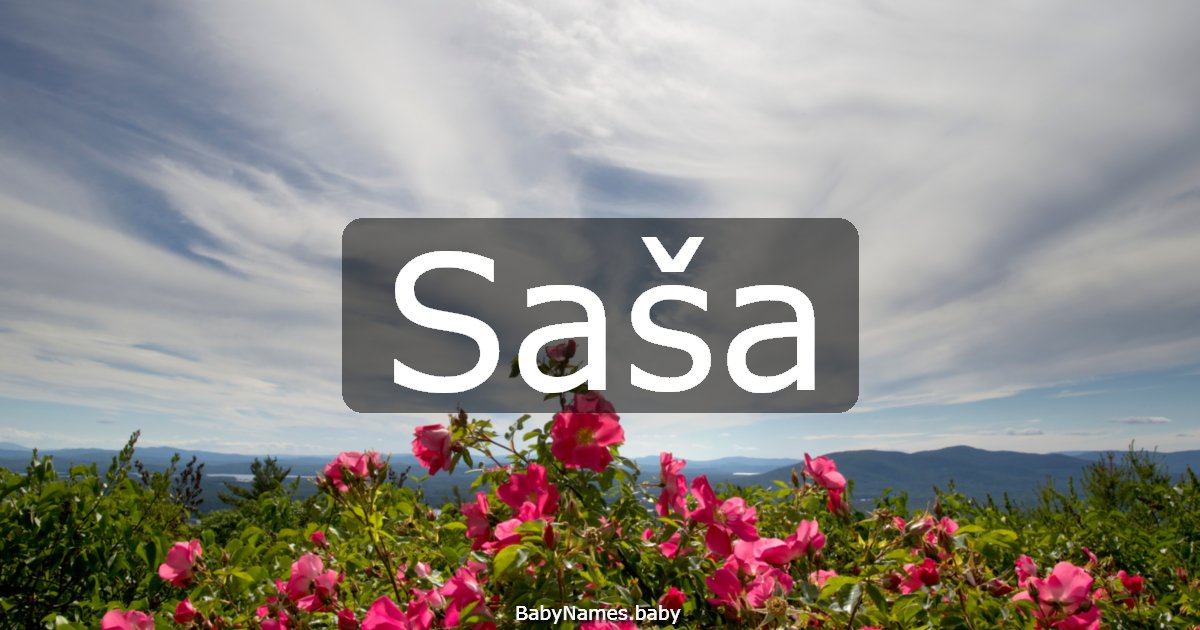 Saša