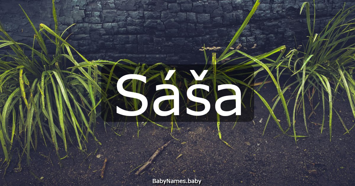Sáša