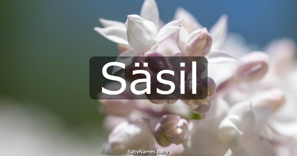 Säsil