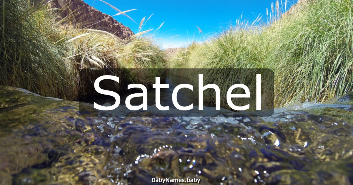 Satchel