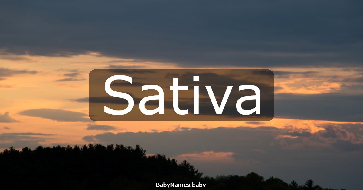 Sativa