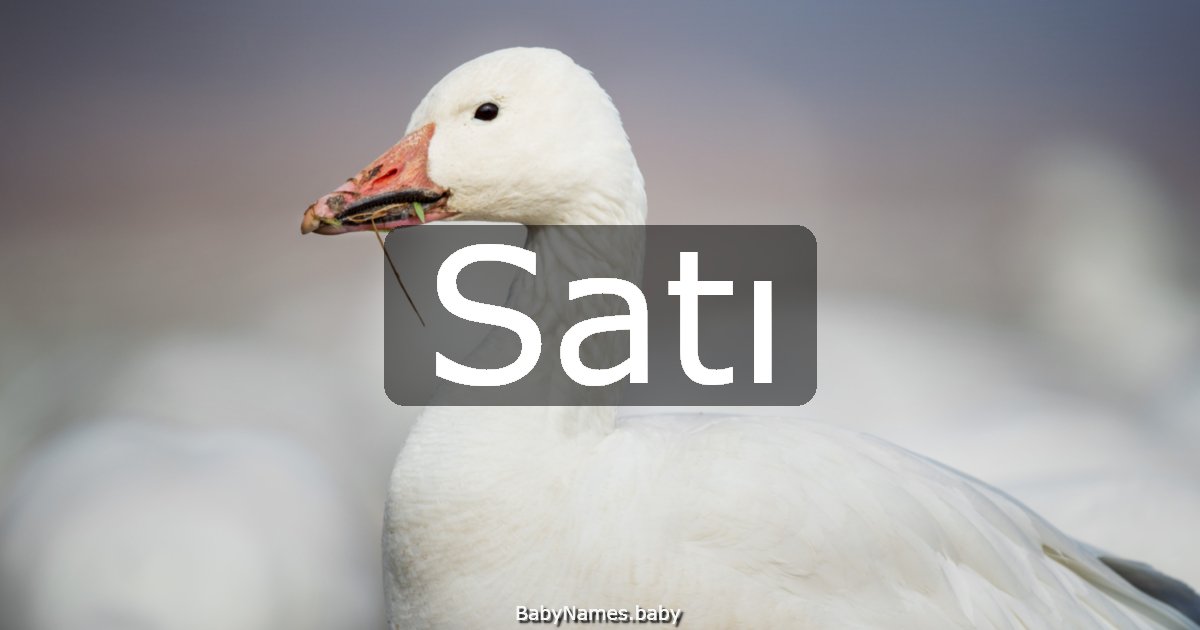 Satı