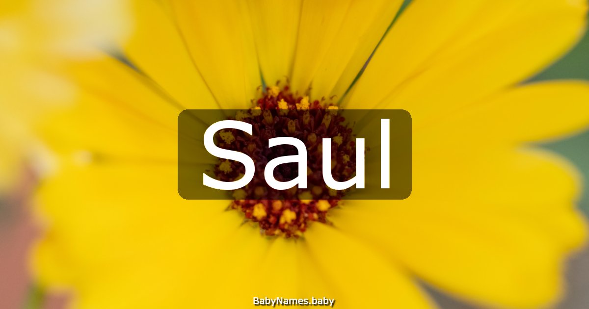 Saul