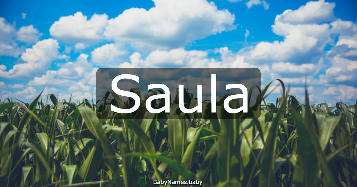 Saula