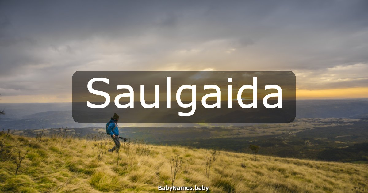 Saulgaida