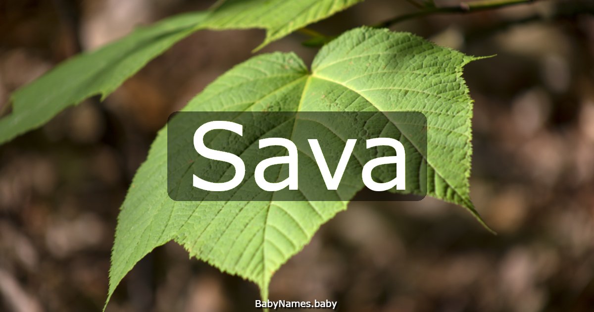 Sava