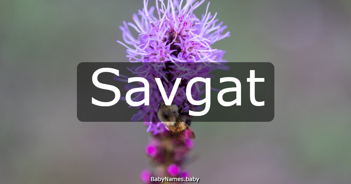 Savgat