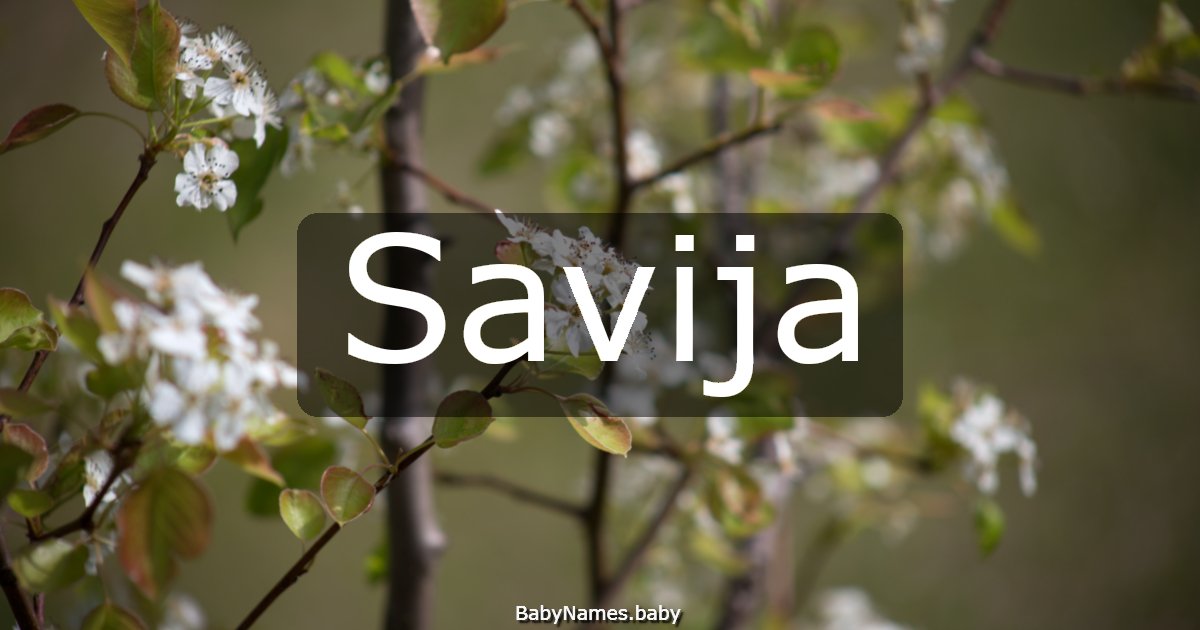 Savija