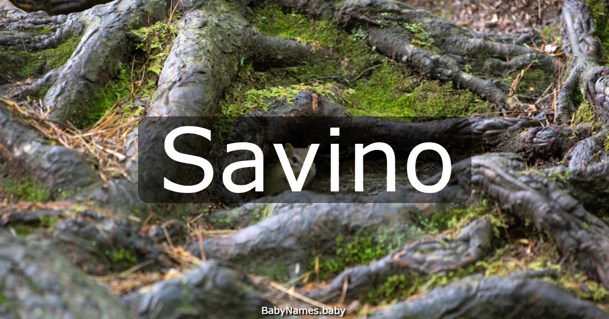 Savino