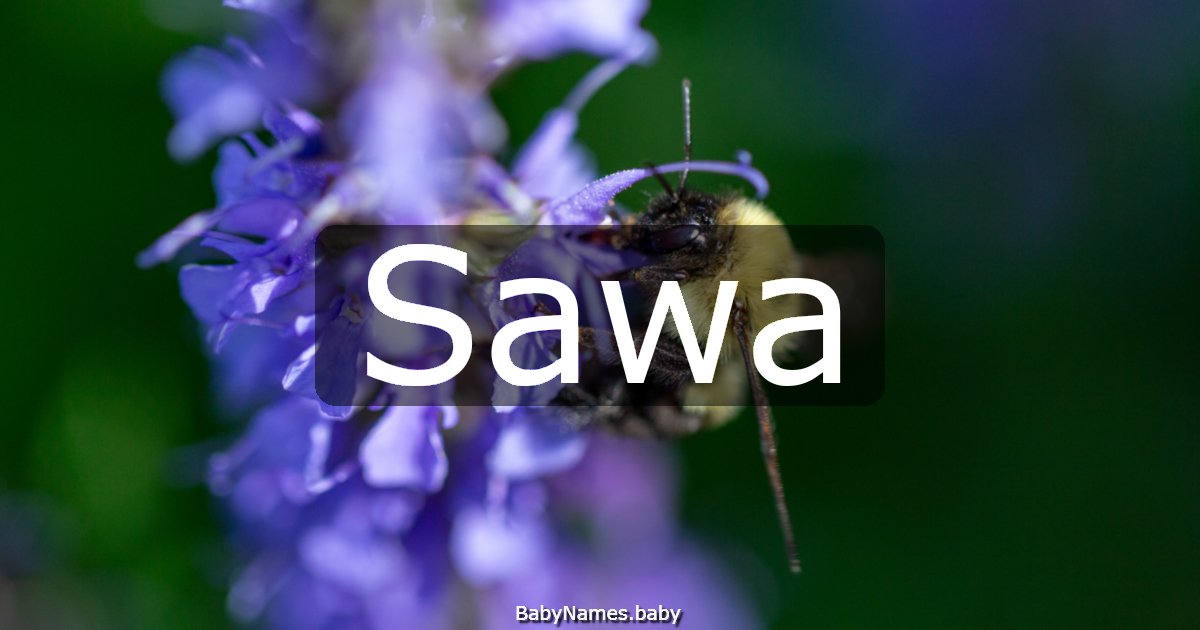 Sawa