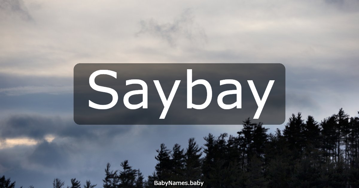 Saybay