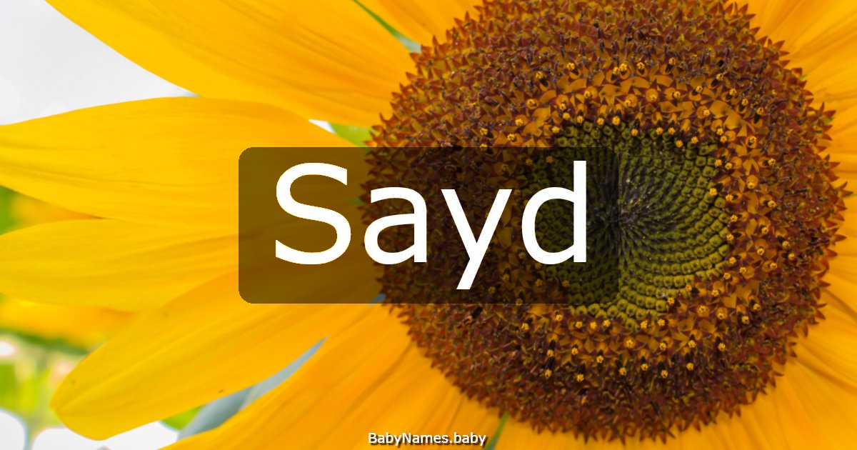 Sayd