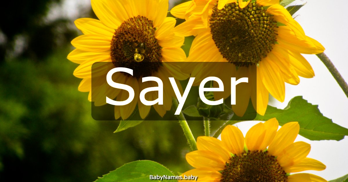 Sayer