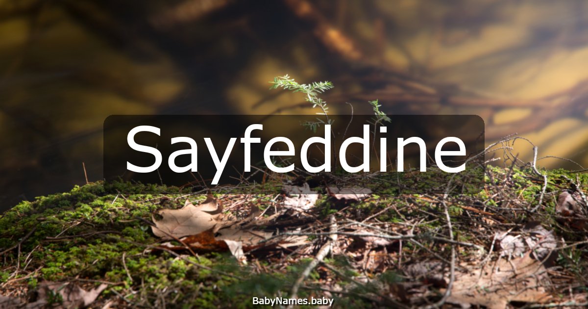 Sayfeddine