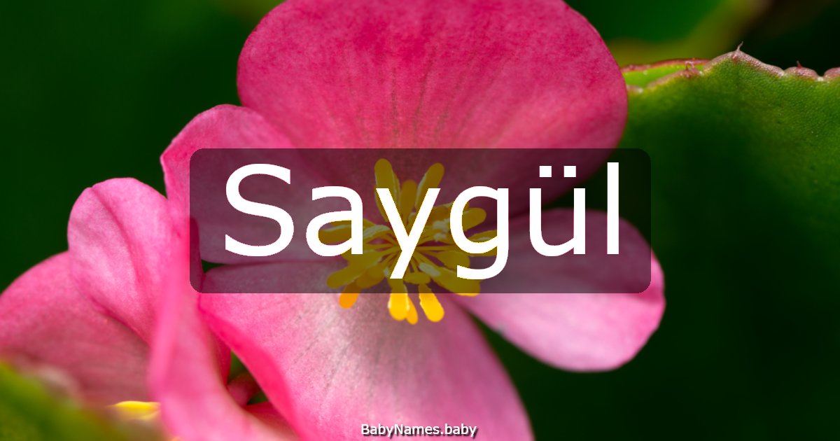 Saygül