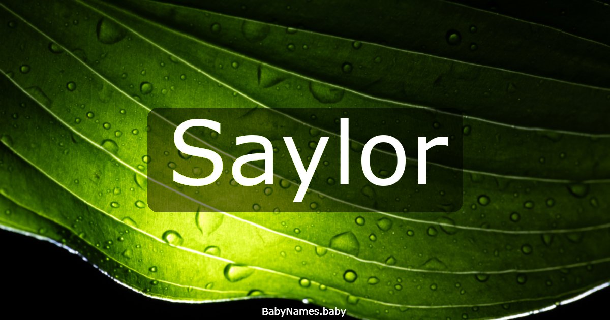 Saylor