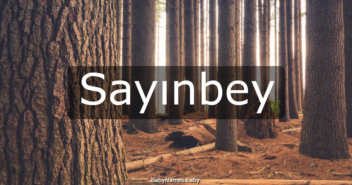 Sayınbey