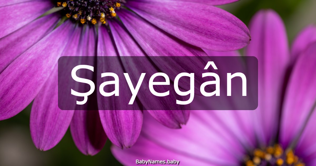 Şayegân