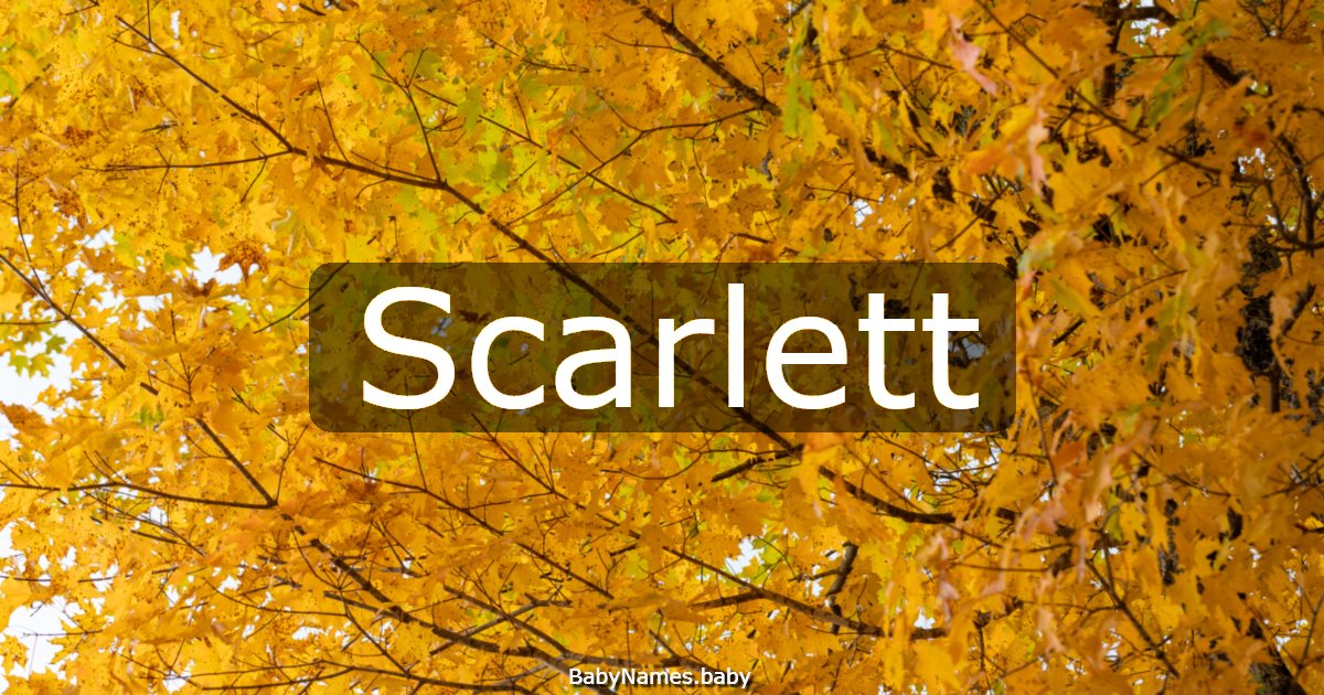 Scarlett