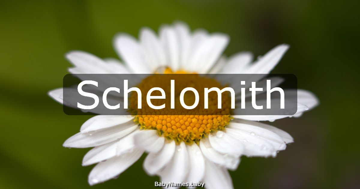 Schelomith