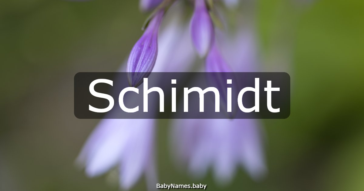 Schimidt