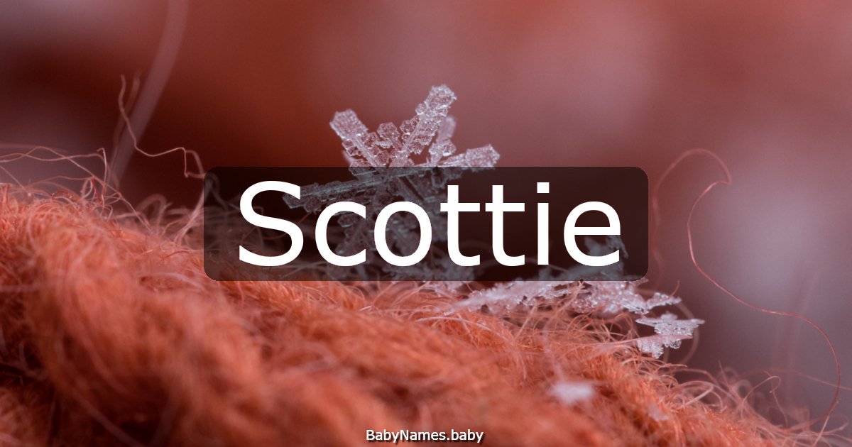 Scottie
