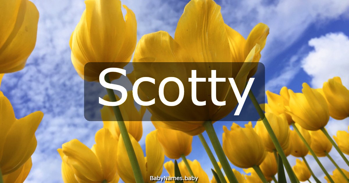 Scotty