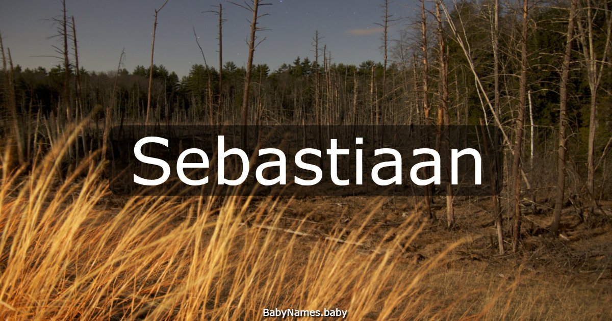 Sebastiaan