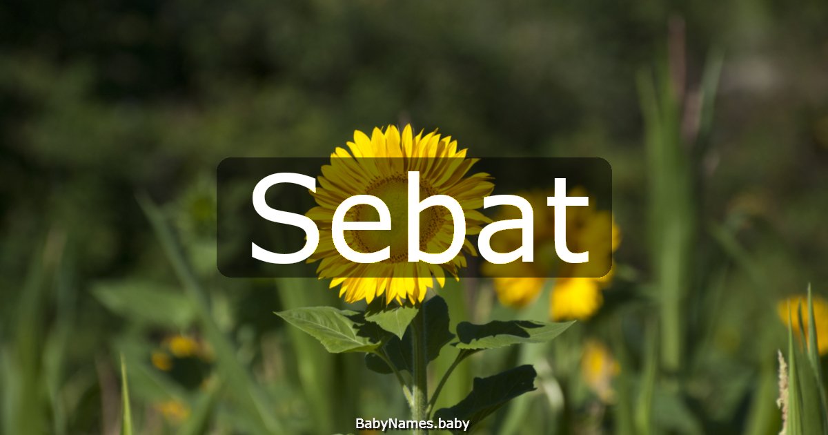Sebat