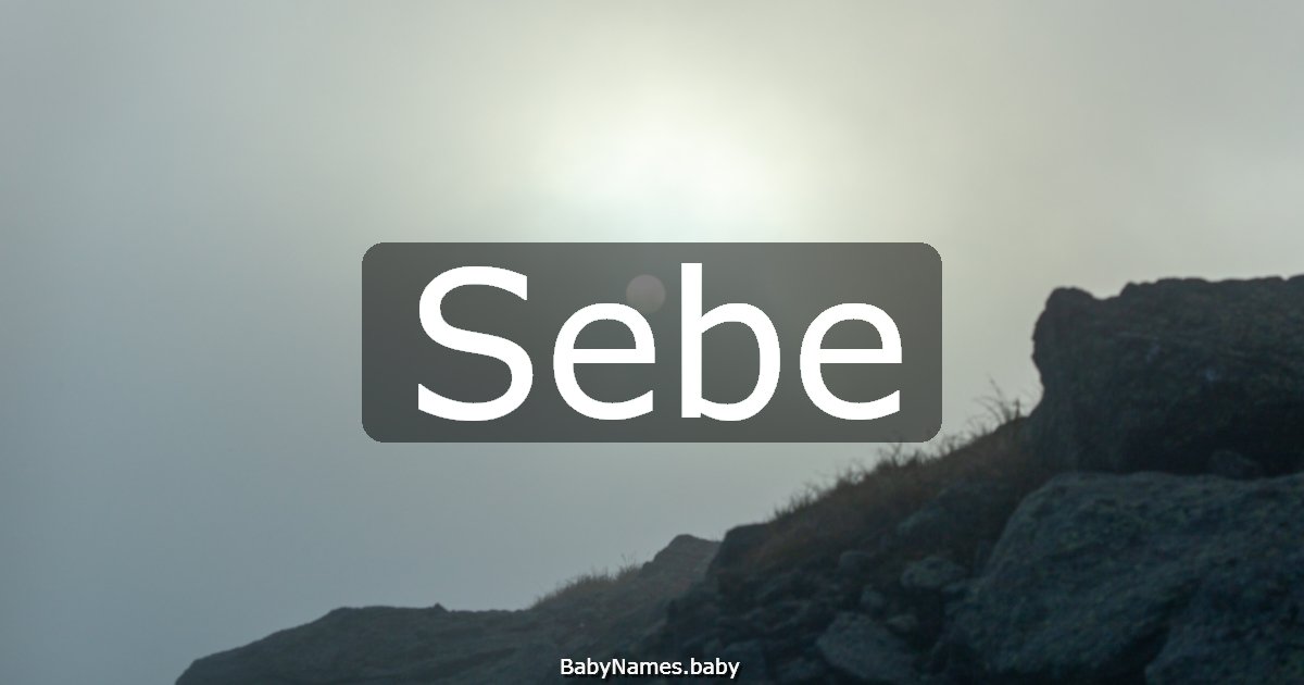 Sebe