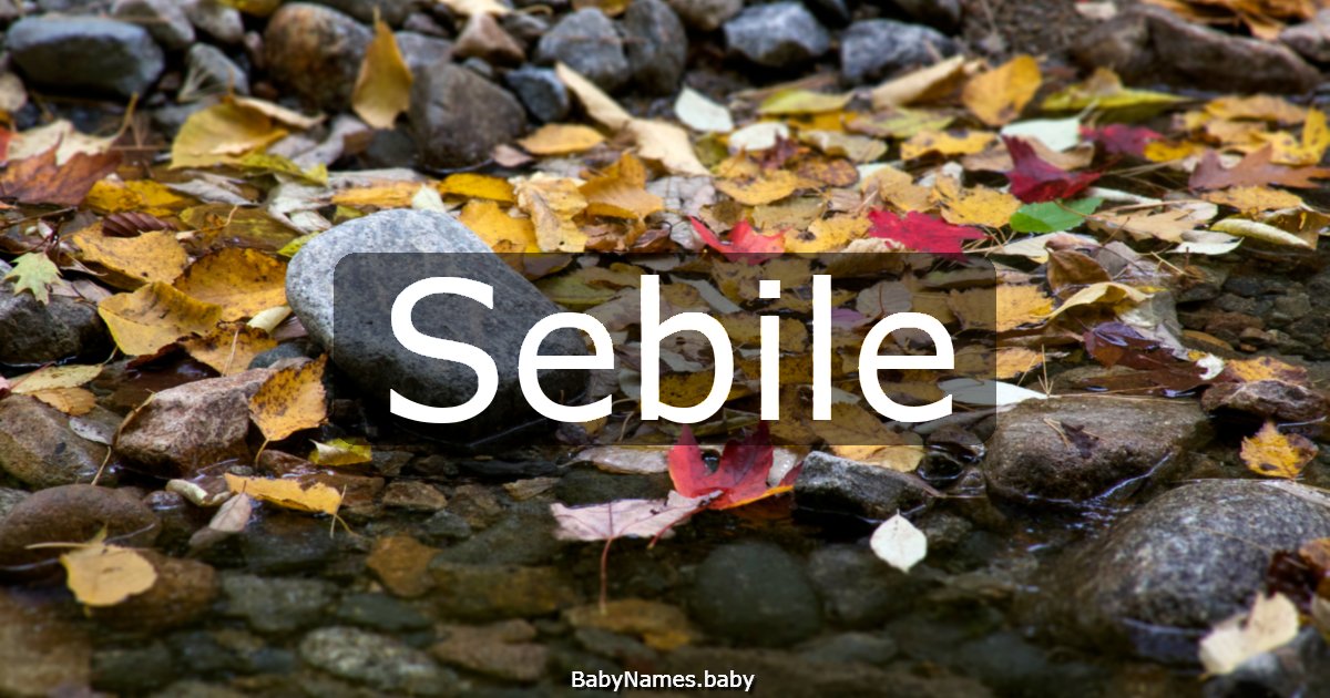 Sebile