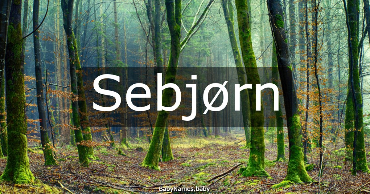 Sebjørn