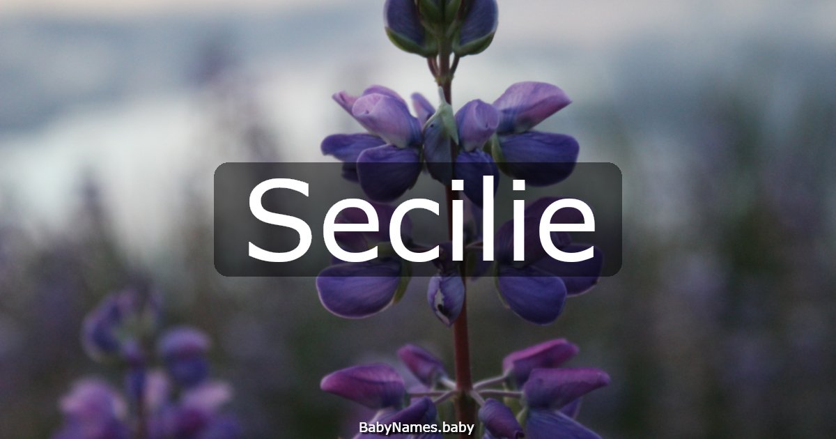 Secilie