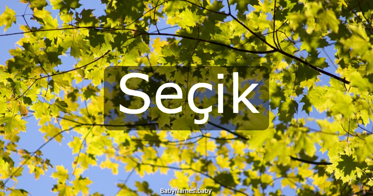 Seçik