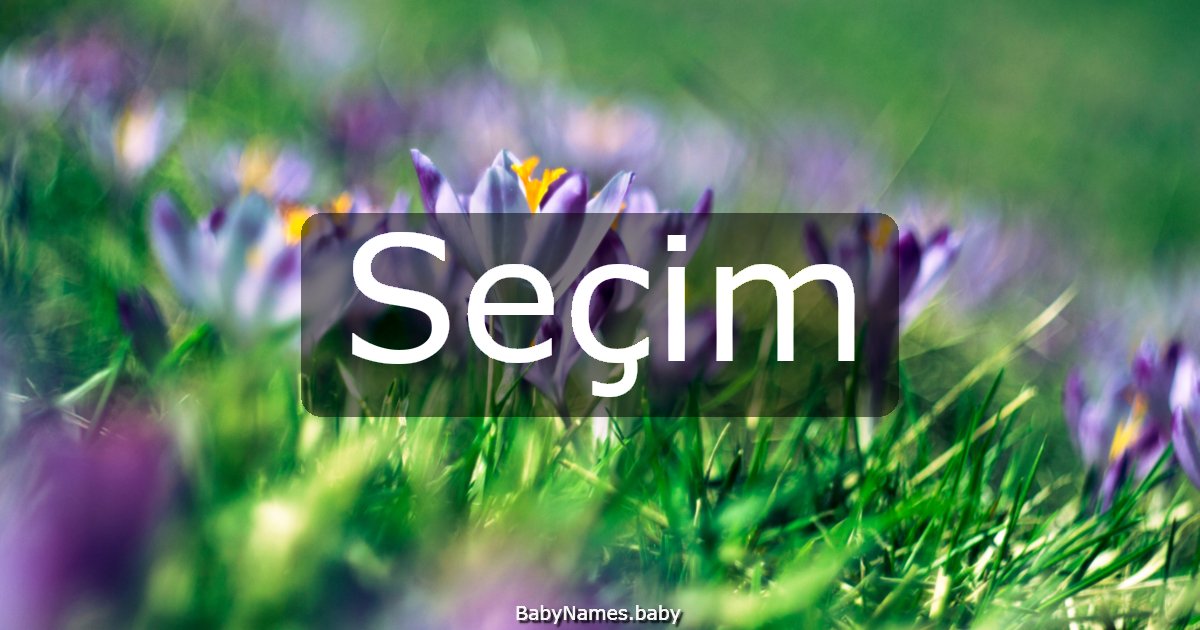 Seçim