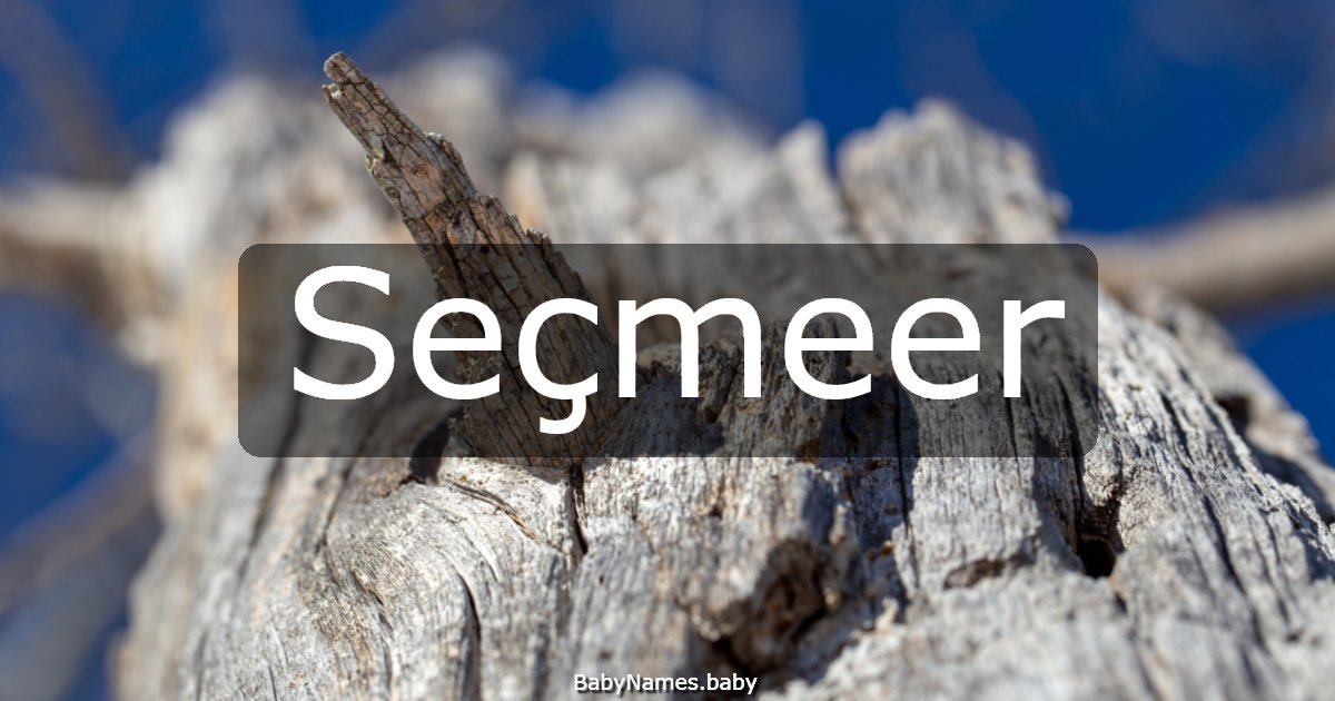 Seçmeer