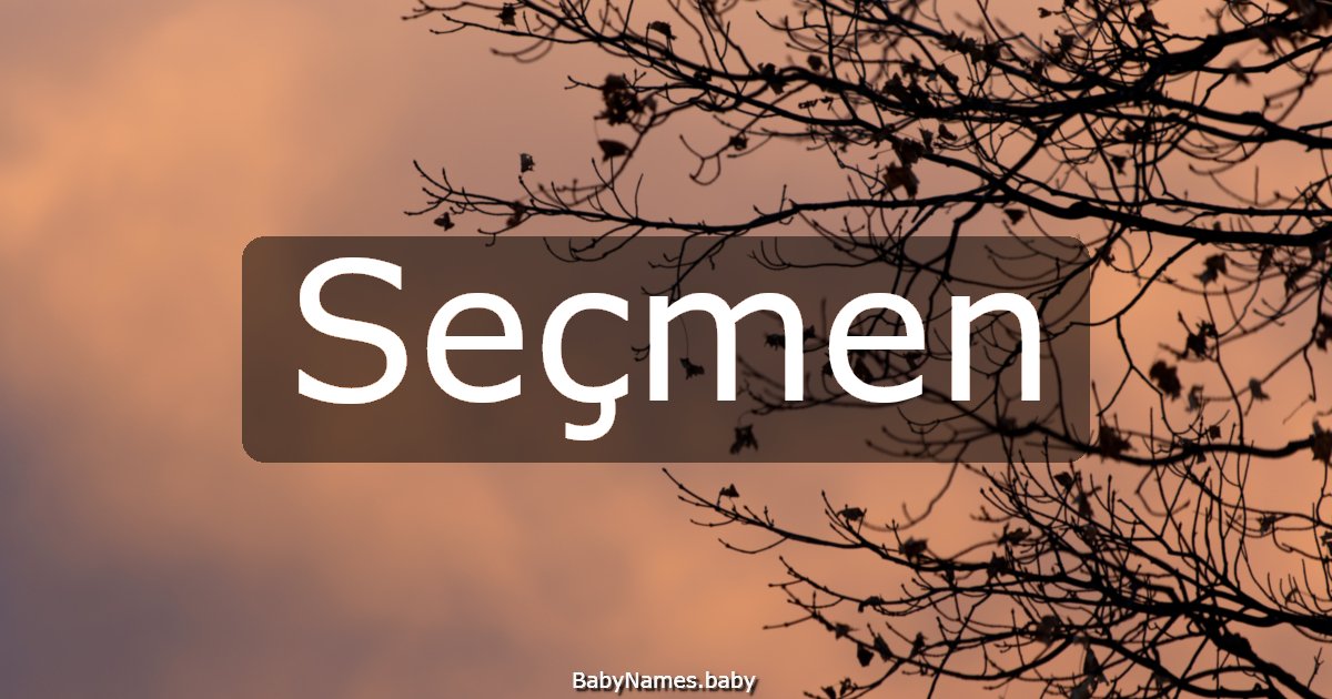 Seçmen
