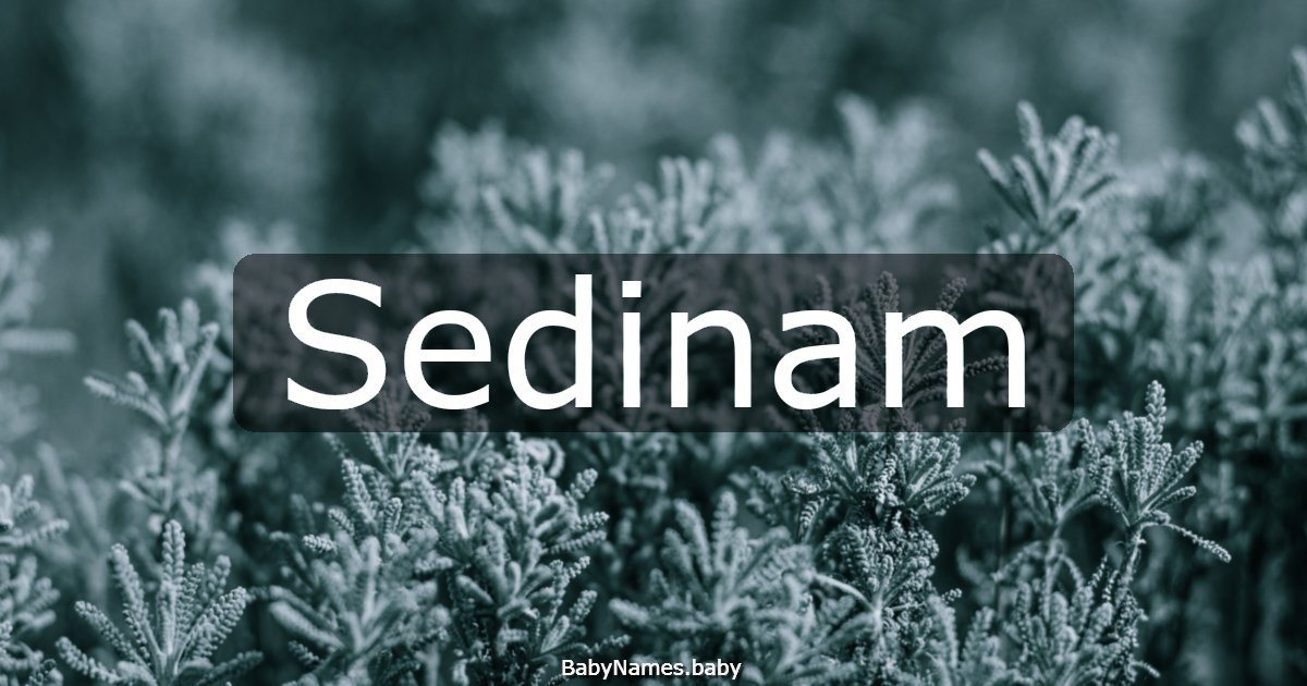 Sedinam