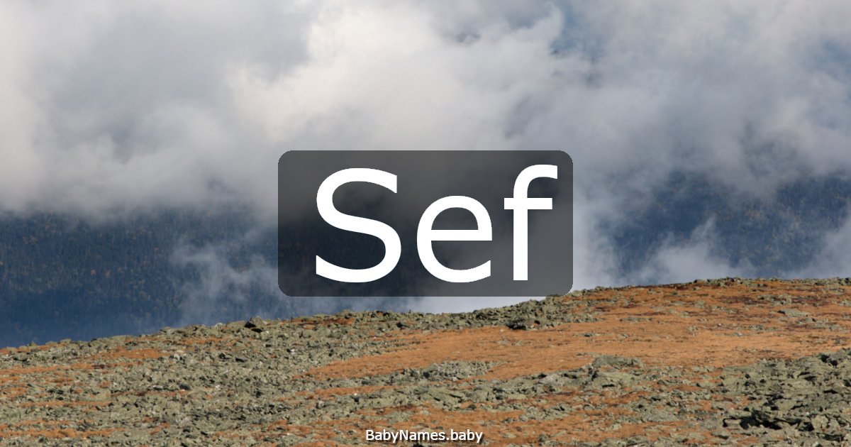 Sef