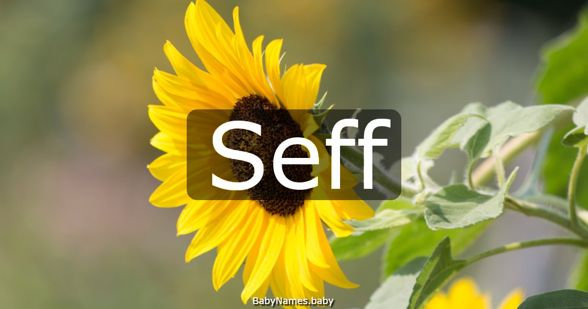 Seff