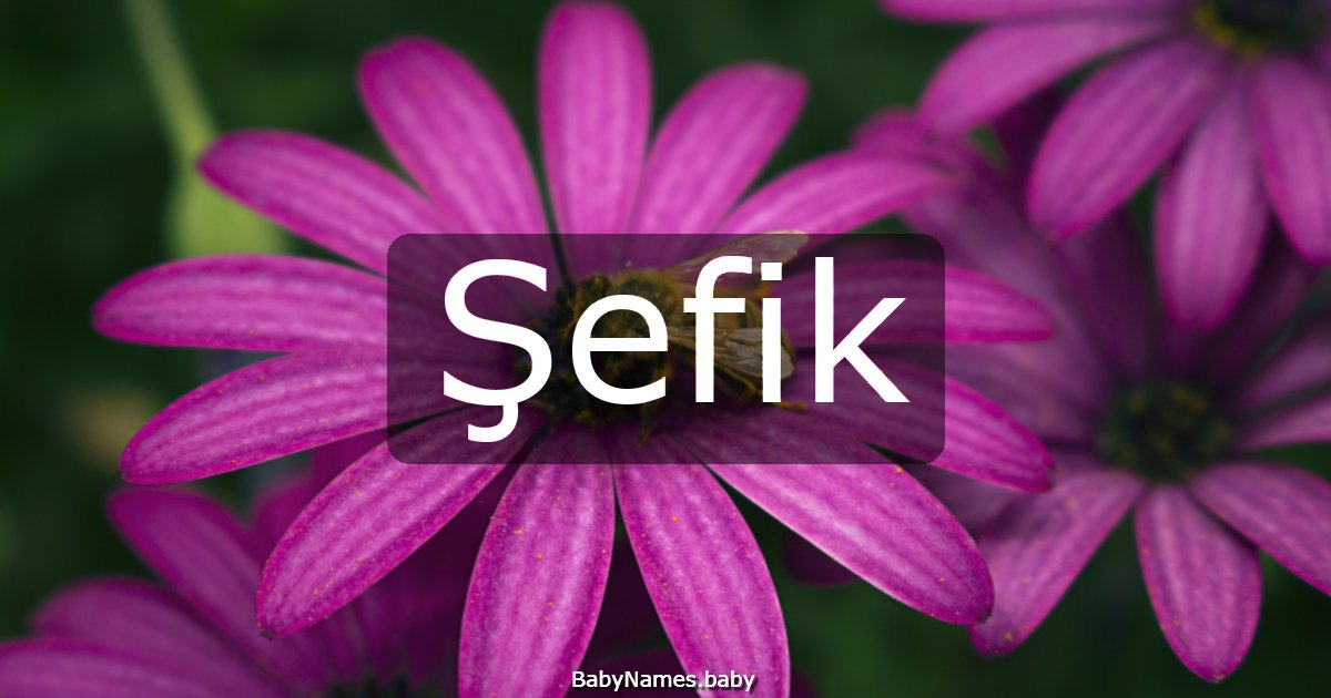 Şefik
