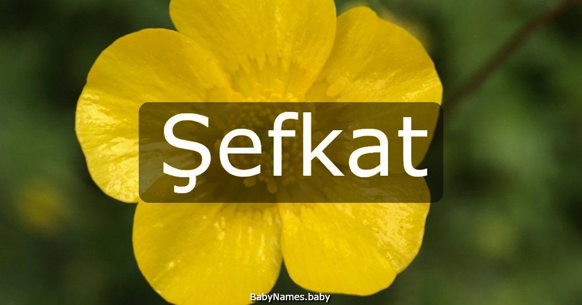 Şefkat