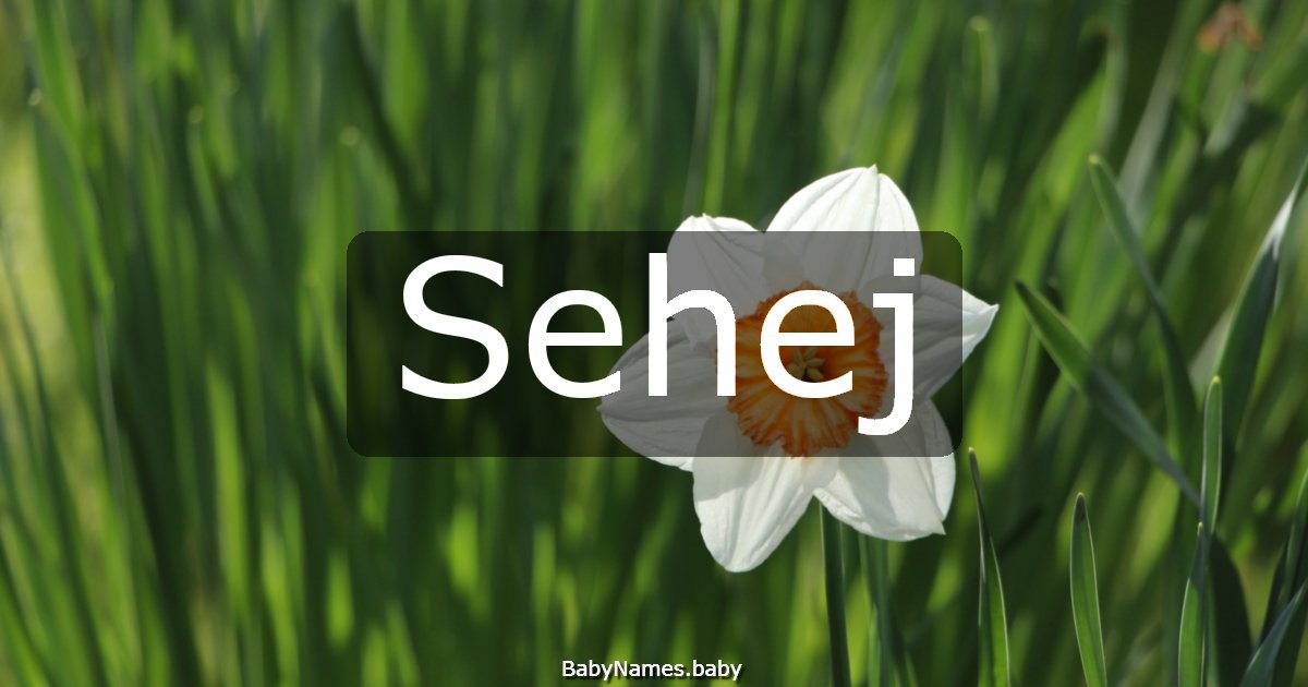 Sehej
