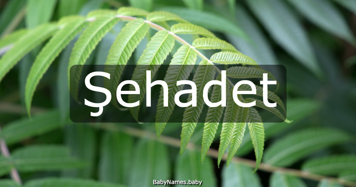 Şehadet