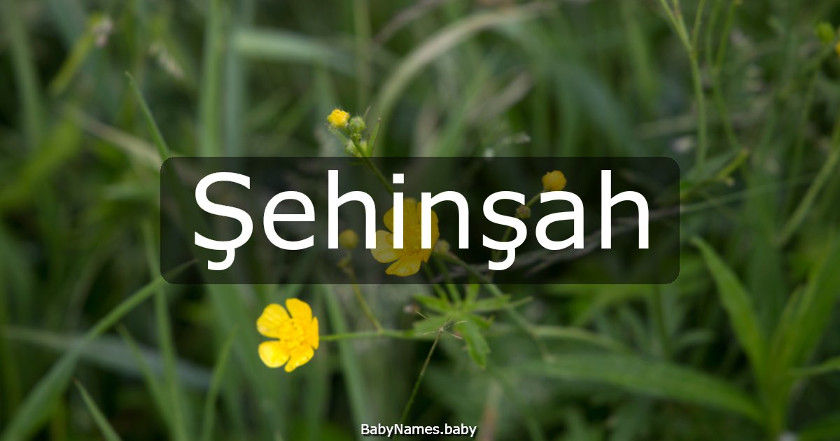 Şehinşah