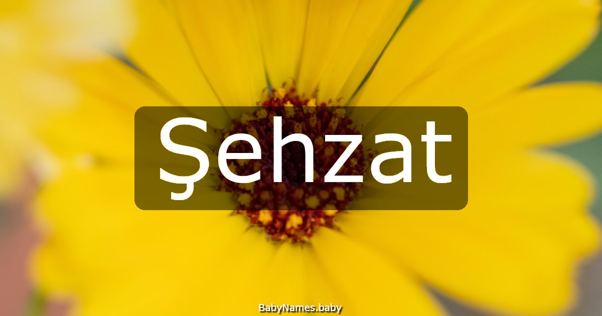 Şehzat