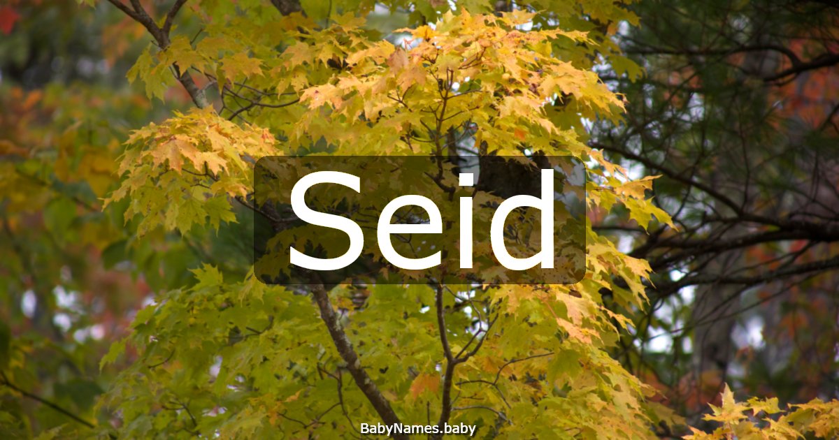 Seid