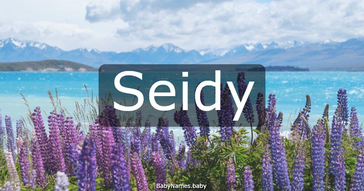 Seidy