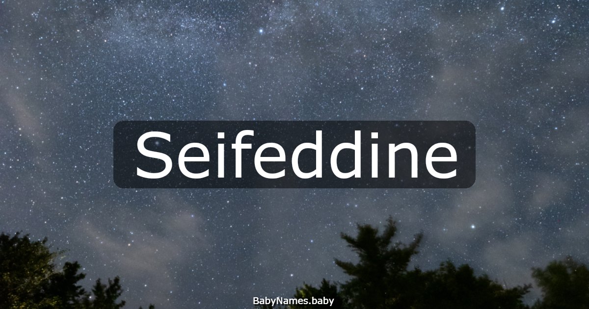 Seifeddine