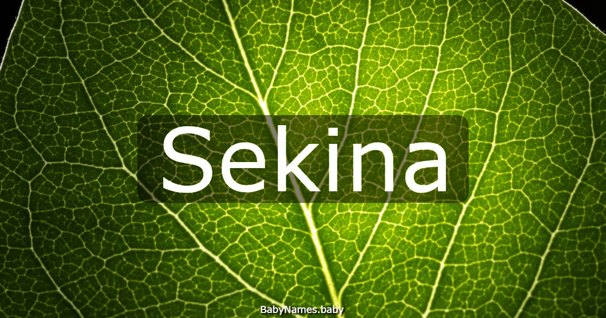 Sekina